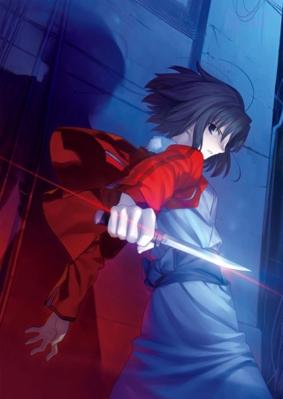 Okładka dla anime Fate/Zero